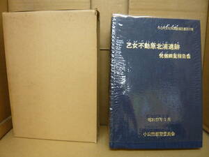 Bｂ2004-バラ　本　乙女不動原北浦遺跡 発掘調査報告書　小山市教育委員会