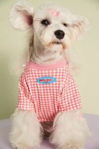 【Mサイズ】ギンガムチェック パステル Tシャツ ピンク 春夏 犬服 ドッグウェア ペット用品 Checkered Pastel Tshirt