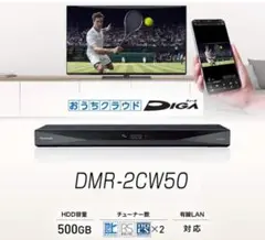 Panasonic DMR-2CW50 500GB ブルーレイレコーダー