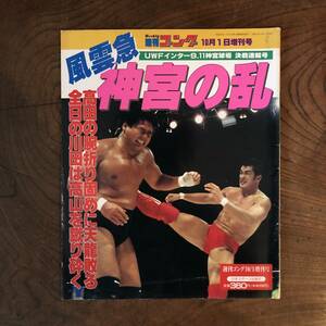 ＜ 週刊ゴング 平成8年１０月１日増刊号 ／ 風雲急 神宮の乱 ＞ プロレス 天龍 高田