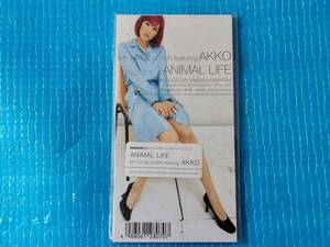 MY LITTLE LOVER featuring AKKO ANIMAL LIFE 8㎝CD【タイアップシール付】「未使用・未開封」