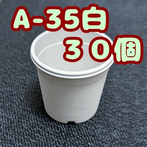 ◆送料無料◆プラ鉢【A-35】30個 スリット鉢 丸 プレステラ 多肉植物