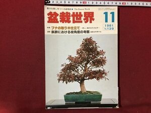 ｍ〇〇　盆栽世界　1981.11　特集：ブナの取り木仕立て　昭和56年11月発行　/I87