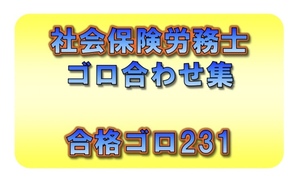 ◆紙印刷郵送◆社会保険労務士_ゴロ合わせ集 231個◆一発合格◆効率的勉強法◆社労士、語呂合わせ