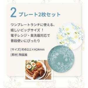 ドクターシーラボ　プレート　お皿　２枚セット　櫻井乃梨子　非売品　陶磁器　　21㎝　電子レンジ　食洗機対応　オーブン非対応