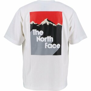 ■ノースフェイス■新品L かっこいい山柄バックプリントTシャツ　送料350円③