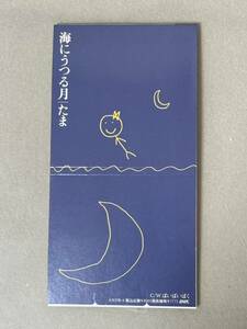 たま 『海にうつる月』 axec AXDR-4