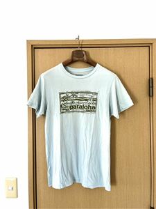 ☆patagoniaパタゴニア☆アロハ系プリントTシャツ半袖Tシャツmen