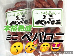 宮内ハム ペパロニ サラミ 150ｇ サラミ ドライソーセージ てんこ盛り 山形の味 お取り寄せ グルメ お土産 てんこ盛り ペパロニ 