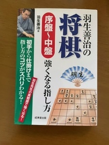 2401「羽生善治の将棋　序盤～中盤　強くなる指し方」成美堂出版