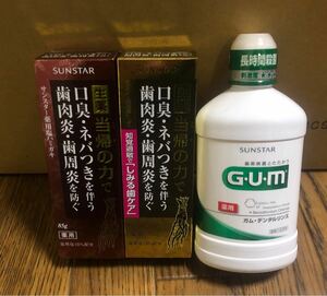 当帰の力 薬用サンスター塩ハミガキa 薬用サンスター塩ハミガキS（しみる歯ケア） 薬用G・U・Mデンタルリンスwa 3点セット