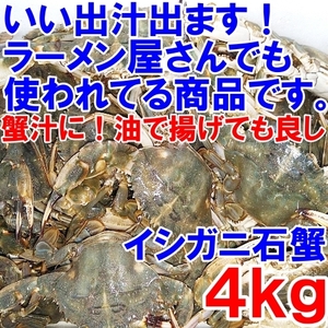 「生出荷！カニ汁用！石蟹小サイズ４kg」 活状態での梱包 松島牡蠣屋 蟹汁 味噌汁 中華料理 フィリピン料理にも 目安：4キロで120杯程度