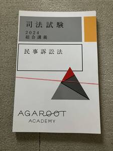 最新 アガルート 2024 総合講義300 民事訴訟法 司法試験 予備試験 法科大学院 法学部 ロースクール 裁断済み agaroot academy