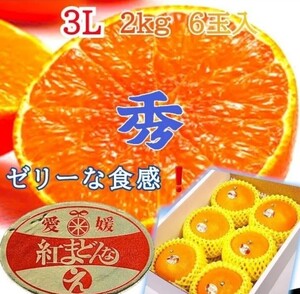 祝初入荷今年もやってまいりました!!愛媛産【紅まどんな】ゼリーな柑橘類（3L 5-6玉 )約1.8~2kg 化粧箱付きご贈答用に最適 お歳暮 ミカン