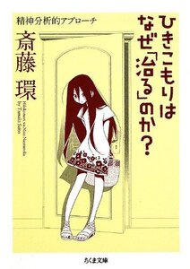 [A01902844]ひきこもりはなぜ「治る」のか?: 精神分析的アプロ-チ (ちくま文庫 さ 29-4)