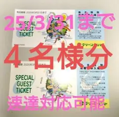 Ｂ【３月まで】三井グリーンランド 株主優待券 入場券 入園券４枚です