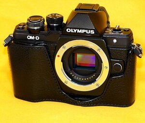 ★一発即決★訳あり★ジャンク品扱い★オリンパス「OM-D E-M10 Mark II」★おまけレンズ＆本革ケース＆32GB付★最新ファームウェアに更新済