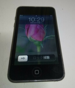 iPod 　Apple　裏面鏡面加工　8GB