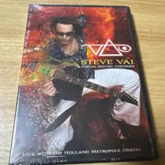 ã‚¹ãƒ†ã‚£ãƒ¼ãƒ´ãƒ»ãƒ´ã‚¡ã‚¤Visual Sound Theories è¼¸å…¥ç›¤DVD