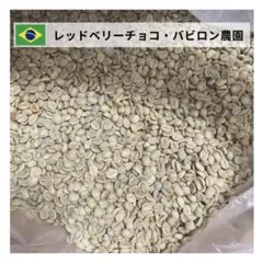 【24時間以内に発送】レッドベリーチョコ【生豆珈琲】【1Kg】【送料無料】