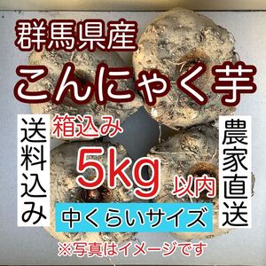 【群馬県産】こんにゃく芋　箱込み5kg以内　手作りこんにゃく用【中くらいサイズ】