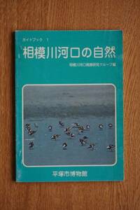 相模川河口の自然/相模川河口鳥類研究グループ編