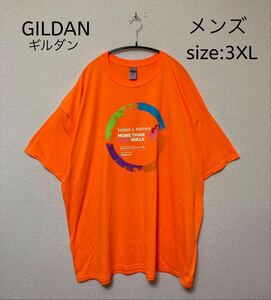 ★早い者勝ち破格SALE★ GILDAN ギルダン Tシャツ USA輸入古着 3XL