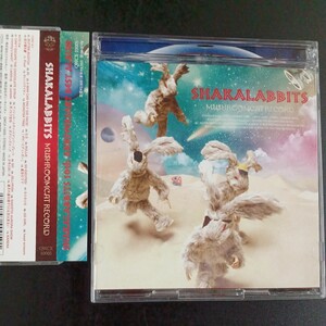 CD_16】シャカラビッツ　SHAKALABBITS　マッシュルームキャット レコード　 2枚組　帯付き　ベスト盤