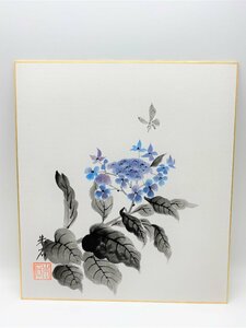 【三枝堂】 新品　四季絵色紙「蝶の紫陽花」　筆者：朱石　☆送料は当社負担☆　一点限り