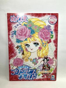 昭和レトロ 当時物 ショウワ プリンセスワールド お姫様 着せ替え付 ぬりえ 未使用品 PAPER ROCK おひめさま メルヘン