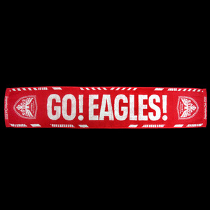 【GO!EAGLES!】supporters Club 2023 マフラータオル・新品未使用