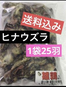 冷凍ヒナウズラ　1袋25羽入り　雛鶉　冷凍エサ　冷凍餌　猛禽類　爬虫類★同梱可　追加可