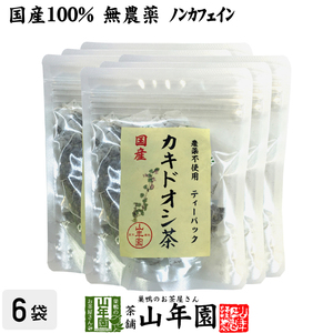 健康茶 国産100% カキドオシ茶 ティーパック 1.5g×20パック×6袋セット 宮崎県産 無農薬 ノンカフェイン 送料無料