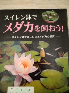 スイレン鉢でメダカを飼おう！　スイレン鉢で楽しむ日本メダカの飼育 小林道信／文・写真　図書館廃棄本