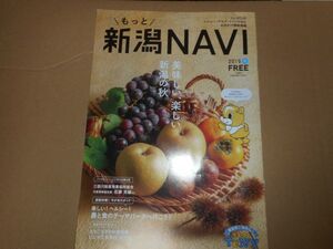 新潟NAVI 2019 秋 えちごせきかわ温泉郷 弥彦 八海山 妙高 戸隠 村上 鮭 イヨボヤ会館