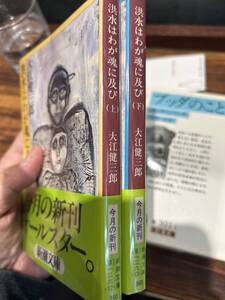 洪水はわが魂に及び　全2巻揃　大江健三郎　新潮文庫　オール初版　帯　美品