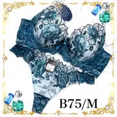 再入荷❤️即完売✨大人気❣️ブラTバック♥セット♥B75/M✨トリンプ/ワコール系❣️