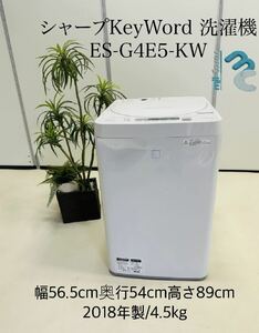 シャープ 洗濯機 ES-G4E5-KW