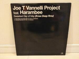 ■JOE T VANNELLI PROJECT / SWEETEST DAY OF MAY アナログ