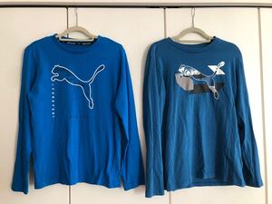 150 男の子 PUMA プーマ 長袖Tシャツ ブルー2枚　 ロンT