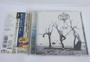 QKUMBA ZOO キューカンバ ズー WAKE UP & DREAM【中古CD】