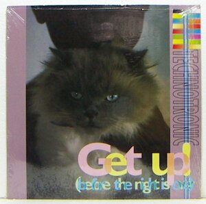 12”Single,THCHNOTRONIC　GET UP 未開封輸入盤