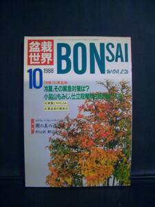 ★　盆栽世界　★　1988年 10月号