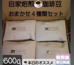 自家焙煎屋　有機栽培珈琲豆　Specialty　4種類セット　600g