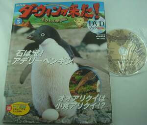 送料無料★DVDブック NHK ダーウィンが来た! 生きもの新伝説 No.5 アデリーペンギン オオアリクイ