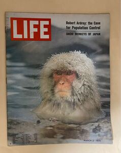 アメリカ雑誌　英語　LIFE ライフ誌　1970年3月2日 スノーモンキー　吉田清志　ブラックパンサー　Snow monkeys of Japan インバウンド