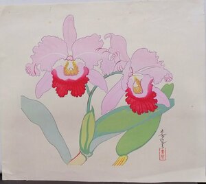 木版画／大野麦風／花／洋蘭／木版色刷／1枚