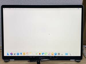 【中古美品】MacBook Pro 15 2018 2019 A1990 シルバー 液晶 上半身部 LCD パネル 15インチ