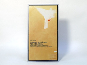 【プラケース入り・CD SINGLE】　Mr.Ｃhildren　　tomorrow never knows／ラヴ コネクション