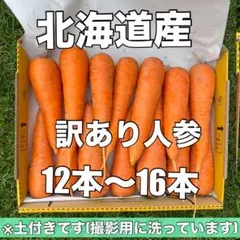 北海道産 訳ありカット人参 12〜16本 土付き　1.4キロ